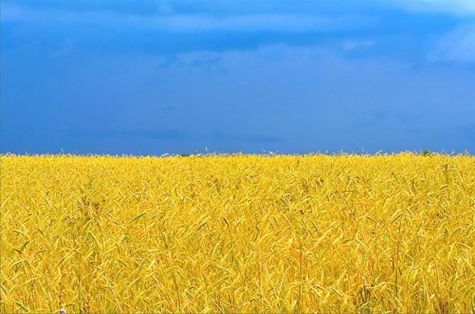 «Белшине» впору менять цветовую гамму своей формы.